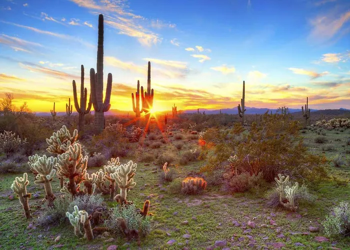 Hilton Garden North Scottsdale Phoenix